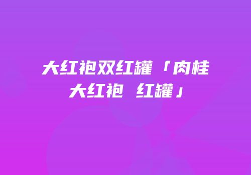 大红袍双红罐「肉桂大红袍 红罐」