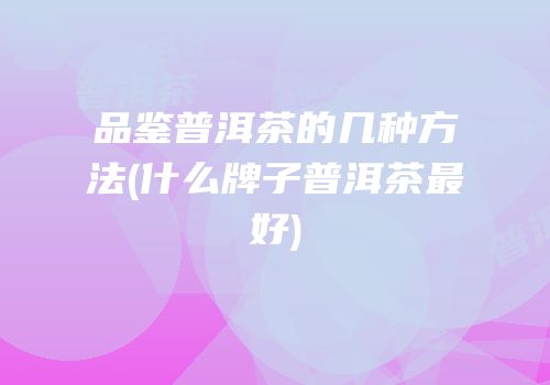 品鉴普洱茶的几种方法(什么牌子普洱茶最好)