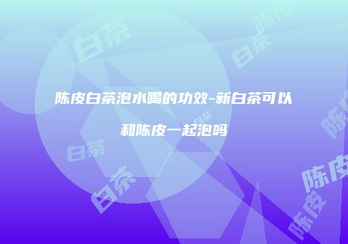 陈皮白茶泡水喝的功效-新白茶可以和陈皮一起泡吗