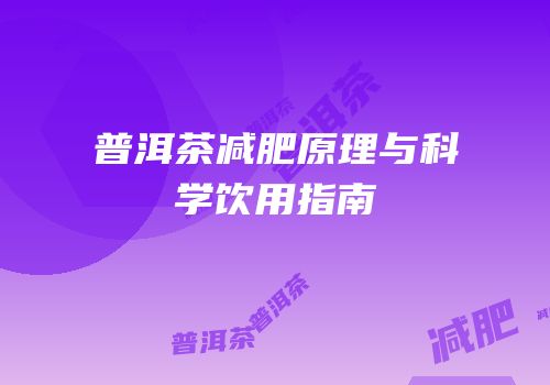 普洱茶减肥原理与科学饮用指南