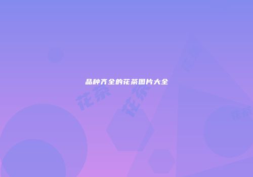 品种齐全的花茶图片大全
