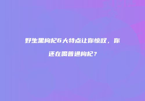 野生黑枸杞6大特点让你惊叹，你还在喝普通枸杞？