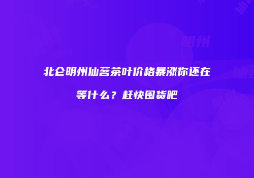 北仑明州仙茗茶叶价格暴涨你还在等什么？赶快囤货吧