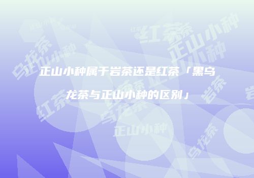 正山小种属于岩茶还是红茶「黑乌龙茶与正山小种的区别」