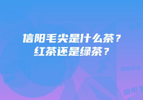 信阳毛尖是什么茶？红茶还是绿茶？