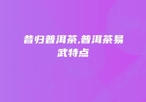 昔归普洱茶,普洱茶易武特点