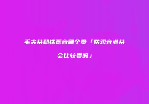 毛尖茶和铁观音哪个贵「铁观音老茶会比较贵吗」