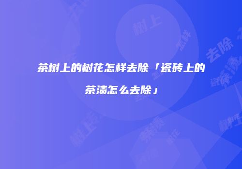 茶树上的树花怎样去除「瓷砖上的茶渍怎么去除」