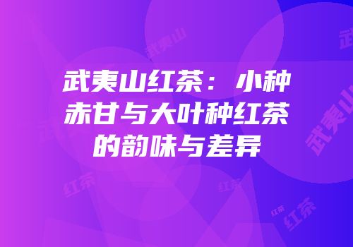 武夷山红茶：小种赤甘与大叶种红茶的韵味与差异