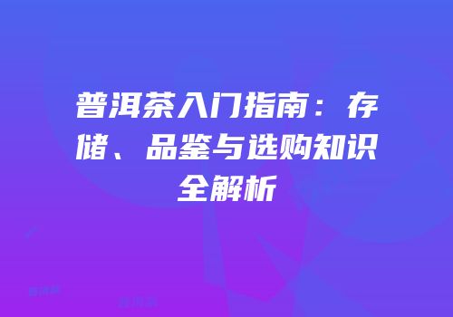 普洱茶入门指南：存储、品鉴与选购知识全解析