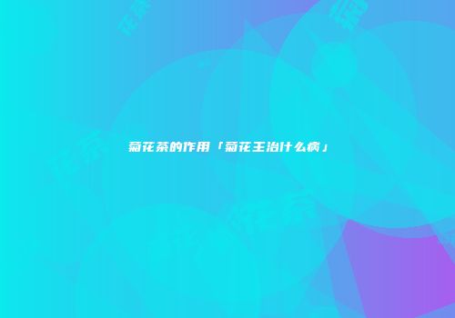 菊花茶的作用「菊花主治什么病」