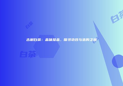 古树白茶：品味珍品，探寻功效与选购之道