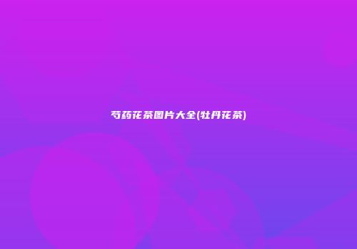 芍药花茶图片大全(牡丹花茶)