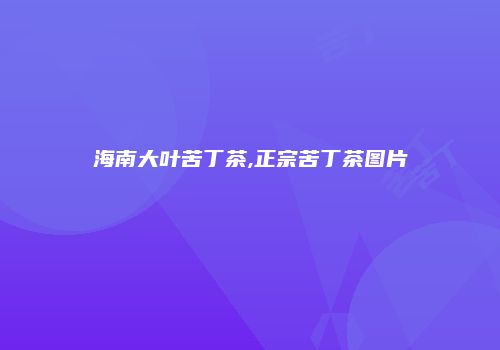 海南大叶苦丁茶,正宗苦丁茶图片