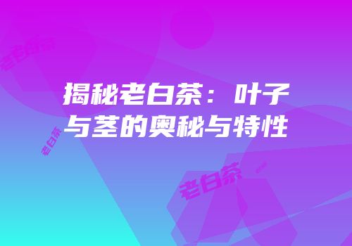 揭秘老白茶：叶子与茎的奥秘与特性