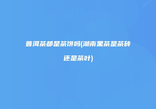 普洱茶都是茶饼吗(湖南黑茶是茶砖还是茶叶)