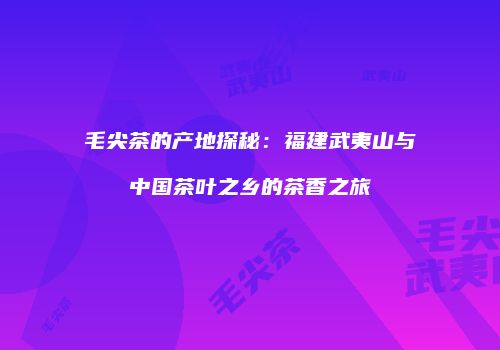 毛尖茶的产地探秘：福建武夷山与中国茶叶之乡的茶香之旅