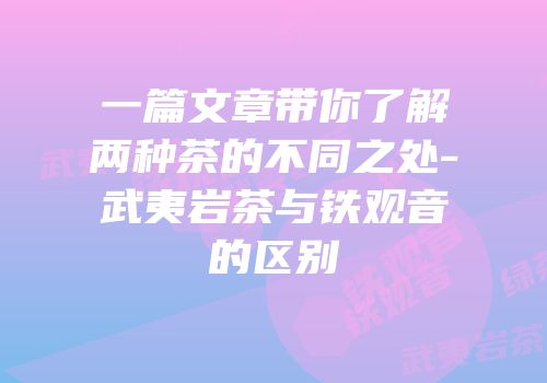 一篇文章带你了解两种茶的不同之处-武夷岩茶与铁观音的区别