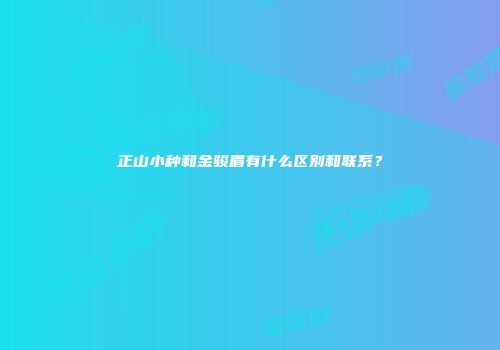 正山小种和金骏眉有什么区别和联系？