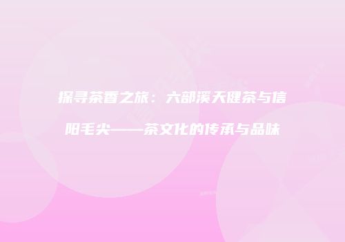 探寻茶香之旅：六部溪天健茶与信阳毛尖——茶文化的传承与品味