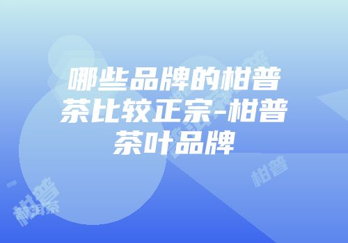 哪些品牌的柑普茶比较正宗-柑普茶叶品牌