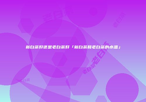 新白茶好还是老白茶好「新白茶和老白茶的水温」