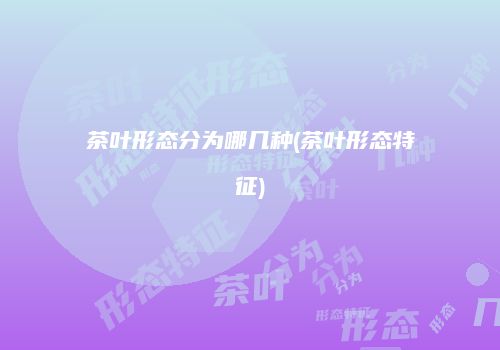 茶叶形态分为哪几种(茶叶形态特征)