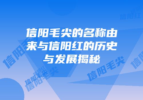 信阳毛尖的名称由来与信阳红的历史与发展揭秘