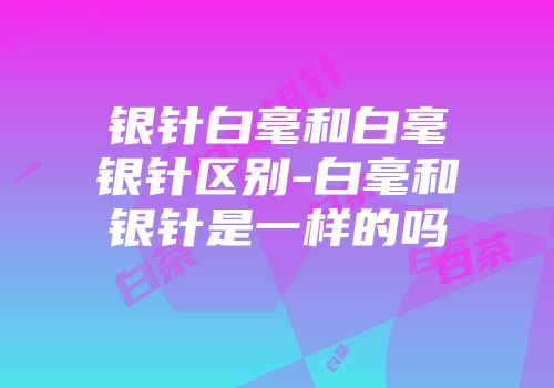 银针白毫和白毫银针区别-白毫和银针是一样的吗
