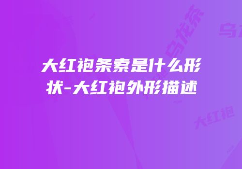 大红袍条索是什么形状-大红袍外形描述