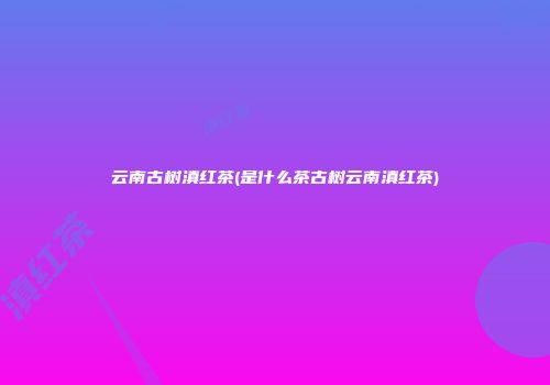 云南古树滇红茶(是什么茶古树云南滇红茶)