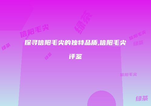 探寻信阳毛尖的独特品质,信阳毛尖评鉴