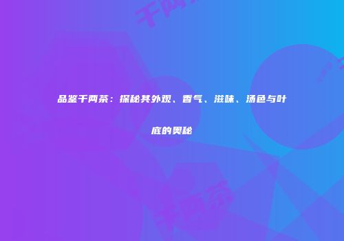 品鉴千两茶：探秘其外观、香气、滋味、汤色与叶底的奥秘