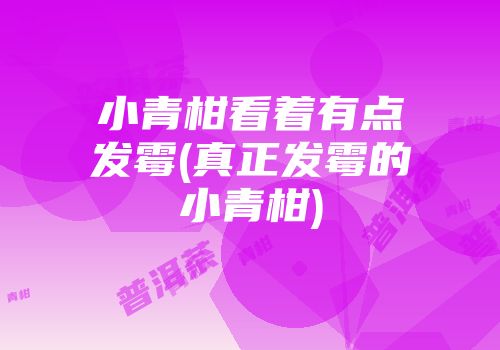 小青柑看着有点发霉(真正发霉的小青柑)