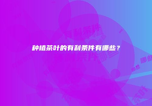 种植茶叶的有利条件有哪些？