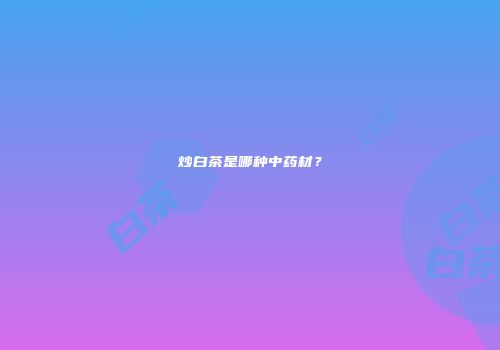 炒白茶是哪种中药材？