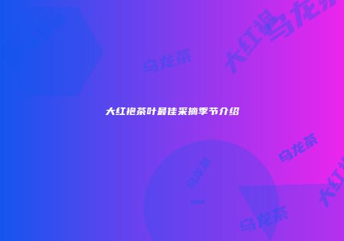 大红袍茶叶最佳采摘季节介绍