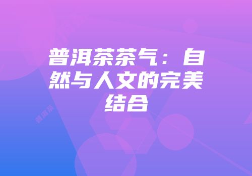 普洱茶茶气：自然与人文的完美结合
