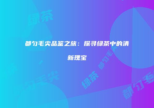 都匀毛尖品鉴之旅：探寻绿茶中的清新瑰宝