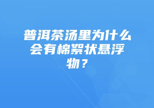 普洱茶汤里为什么会有棉絮状悬浮物？