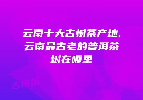 云南十大古树茶产地,云南最古老的普洱茶树在哪里
