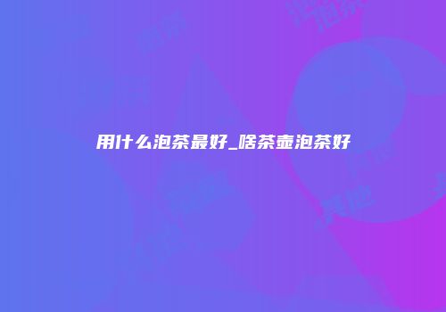 用什么泡茶最好_啥茶壶泡茶好
