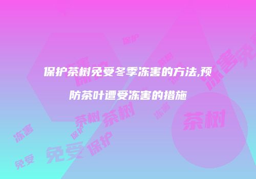 保护茶树免受冬季冻害的方法,预防茶叶遭受冻害的措施