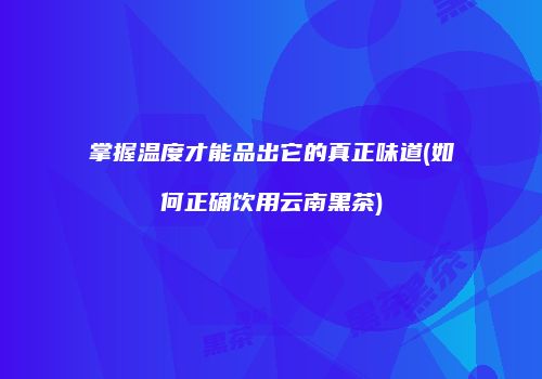 掌握温度才能品出它的真正味道(如何正确饮用云南黑茶)