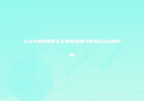 正山小种桂圆香怎么来的(桂圆小种和正山小种区别)