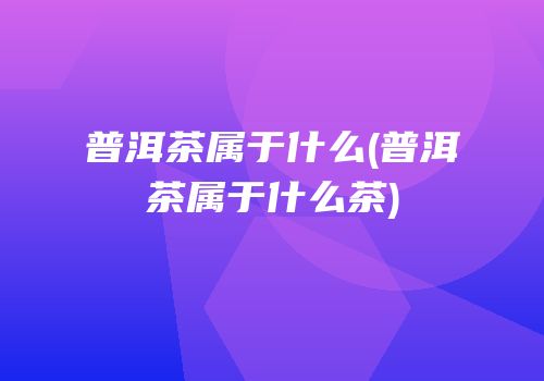 普洱茶属于什么(普洱茶属于什么茶)