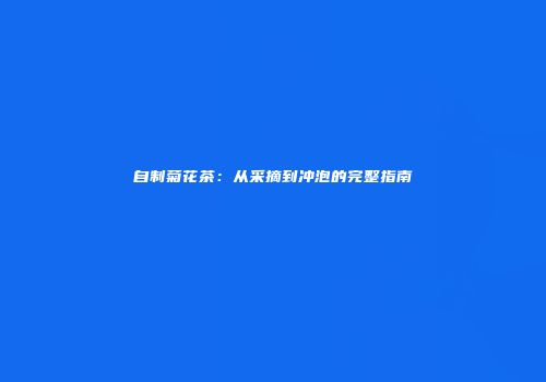 自制菊花茶：从采摘到冲泡的完整指南