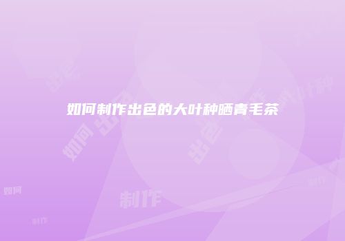 如何制作出色的大叶种晒青毛茶