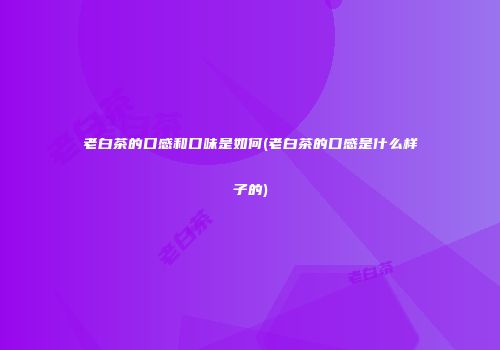 老白茶的口感和口味是如何(老白茶的口感是什么样子的)