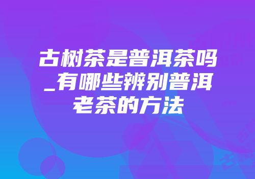 古树茶是普洱茶吗_有哪些辨别普洱老茶的方法